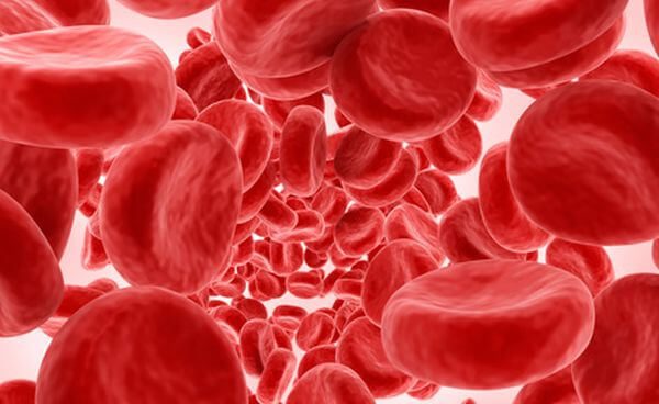 Blood Cells background, 3D illustration