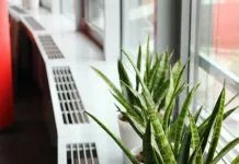 Miło pracować – rośliny i dekoracje w przestrzeni biurowej