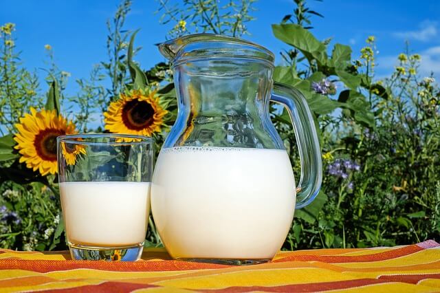 Czym możemy zastąpić mleko pochodzenia zwierzęcego? /foto. Pixabay