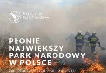 Płonie największy park narodowy w Polsce!