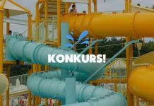 Konkurs