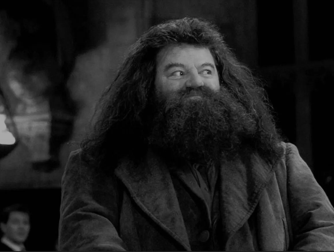 Robbie Coltrane Hagrid